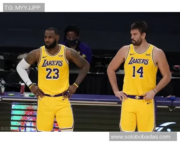 NBA历史胜率排行榜凯尔特人湖人马刺居前三森林狼排名垫底
